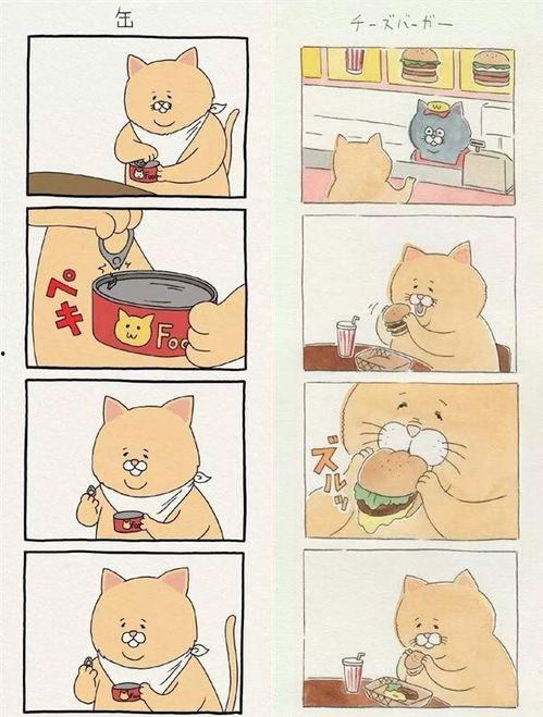 猫四格漫画,猫四格漫画里的欢乐时光